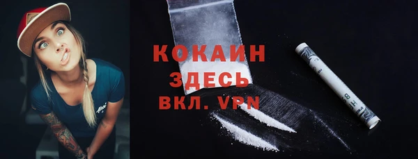 твердый Горняк