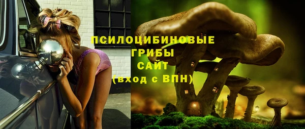 трава Горно-Алтайск