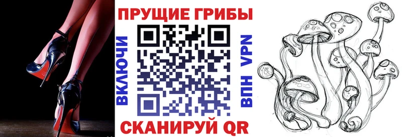 Купить где  Когалым  Галлюциногенные грибы Psilocybe 
